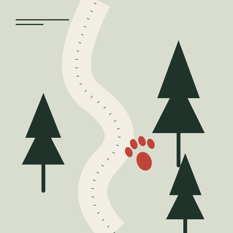 Studio concept Tracce nel bosco: impronte e alberi stilizzati